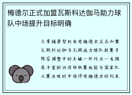 梅德尔正式加盟瓦斯科达伽马助力球队中场提升目标明确 梅德尔正式加盟瓦斯科达伽马助力球队中场提升目标明确